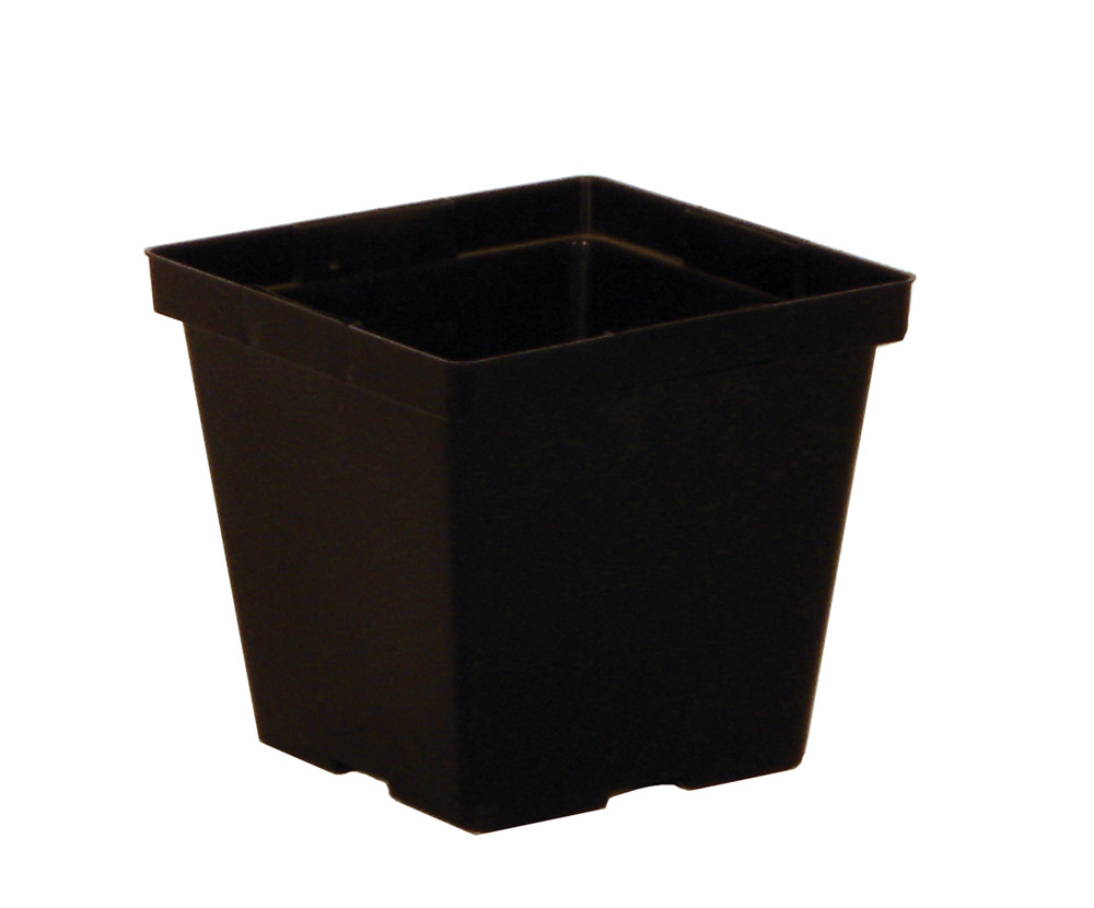 4.00 Square Thinwall TL Black - 846 per case - Square Pots